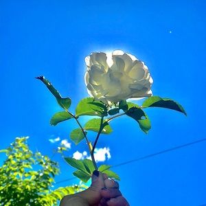 Meet your Posher, Nick